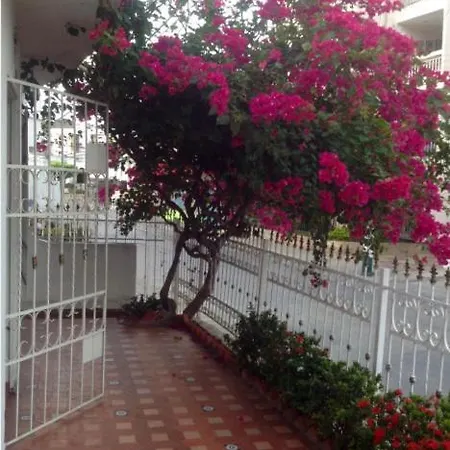 Aliento Vital Guest house *